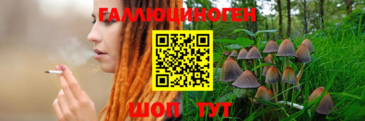 Барнаул  Псилоцибиновые грибы Cubensis  Вход с VPN 